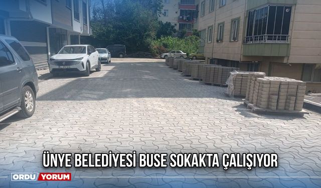 Ünye Belediyesi Buse Sokakta Çalışıyor