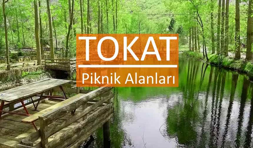 Tokat'ta Piknik Yerleri: En Güzel 10 Piknik Alanı