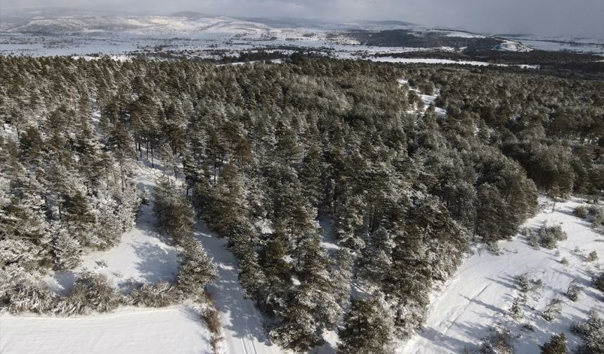 Kastamonu'da beyaz örtüyle kaplanan ormanlar dron ile görüntülendi