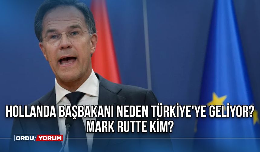 Hollanda Başbakanı Neden Türkiye'ye Geliyor? Mark Rutte Kim?