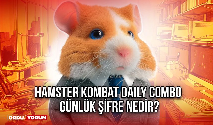 Hamster Kombat Günlük Şifre Kombo Kartları Güncel Anlık 26-27 Temmuz 2024 Daily Combo