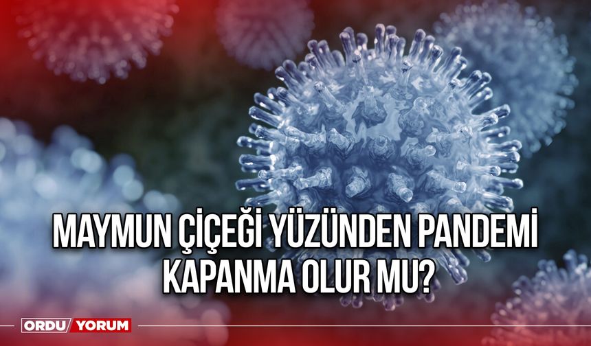 Maymun Çiçeği yüzünden pandemi kapanma olur mu?