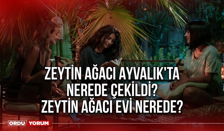 Zeytin Ağacı Ayvalık'ta nerede çekildi? Zeytin Ağacı evi nerede?