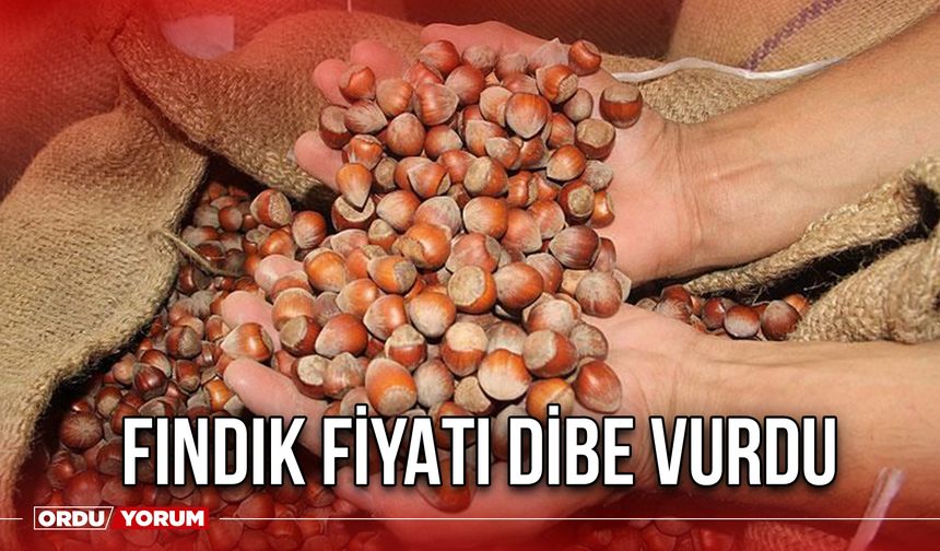 Fındık Fiyatı Dibe Vurdu