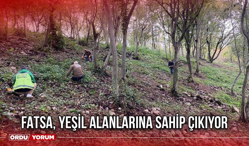 Fatsa, Yeşil Alanlarına Sahip Çıkıyor