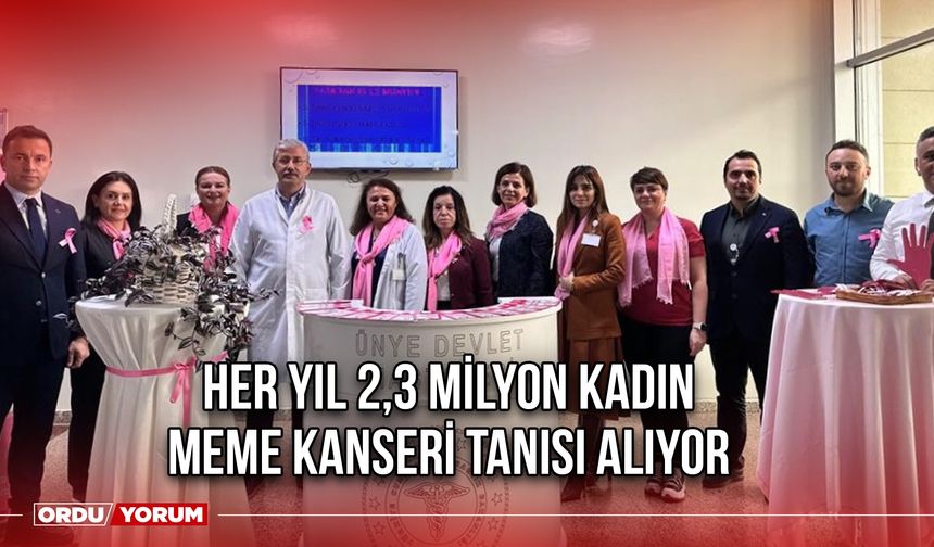 Her Yıl 2,3 Milyon Kadın, Meme Kanseri Tanısı Alıyor