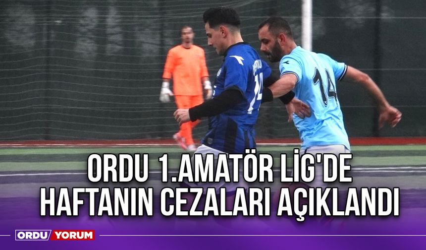 Ordu 1.Amatör Lig'de Haftanın Cezaları Açıklandı