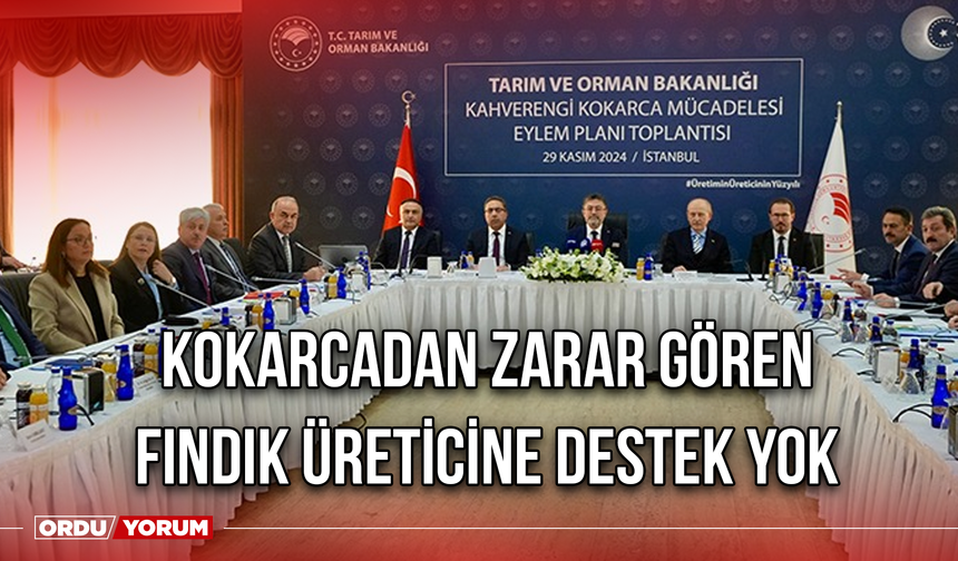 Kokarcadan Zarar Gören Fındık Üreticine Destek Yok