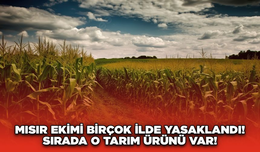 Mısır ekimi birçok ilde yasaklandı! Sırada o tarım ürünü var!