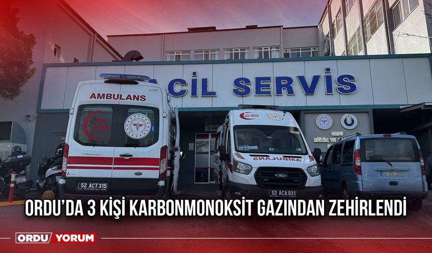 Ordu’da 3 Kişi Karbonmonoksit Gazından Zehirlendi