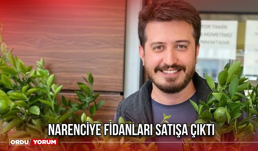 Narenciye Fidanları Satışa Çıktı