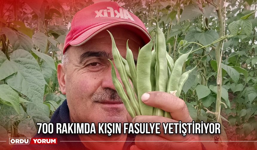 700 Rakımda Kışın Fasulye Yetiştiriyor