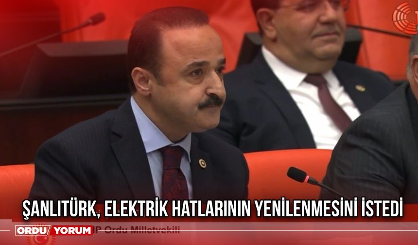 Şanlıtürk, Elektrik Hatlarının Yenilenmesini İstedi