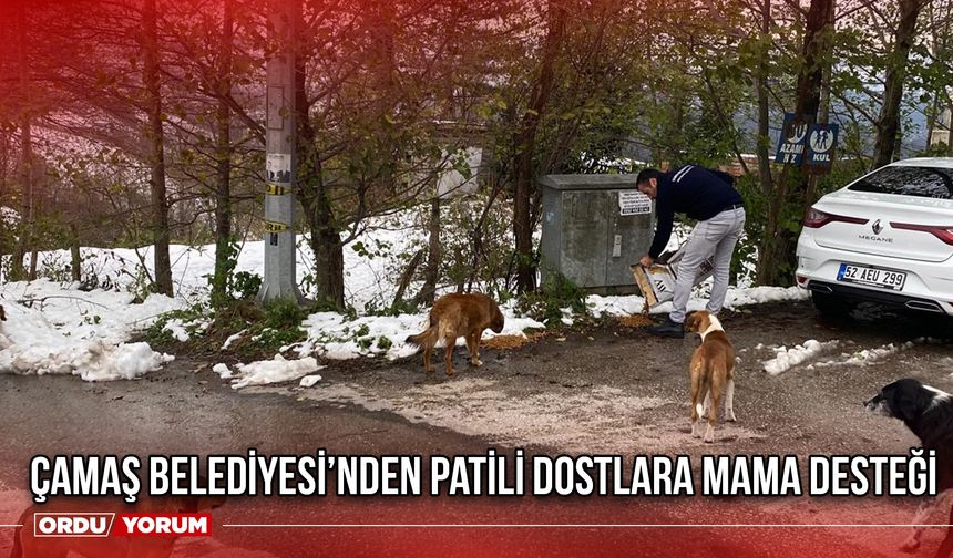 Çamaş Belediyesi’nden Patili Dostlara Mama Desteği