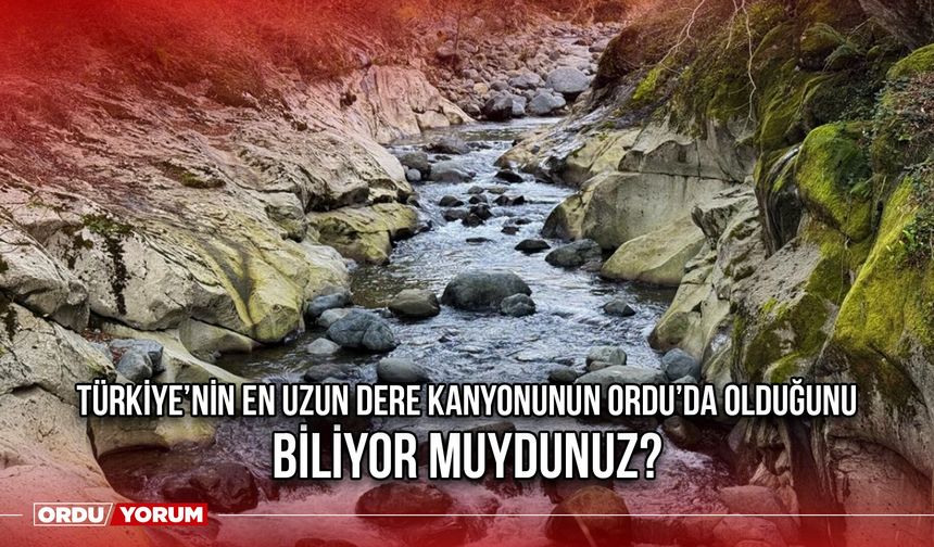 Türkiye’nin En Uzun Dere Kanyonunun Ordu’da Olduğunu Biliyor Muydunuz?