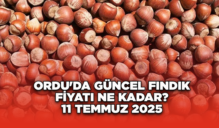Ordu'da güncel fındık fiyatı ne kadar? 11 Temmuz 2025