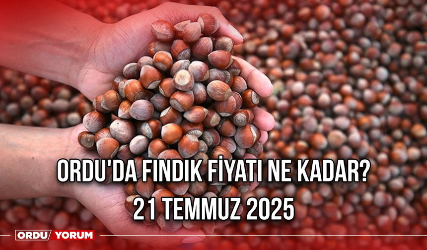 Ordu'da fındık fiyatı ne kadar? 21 Temmuz 2025