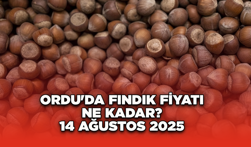 Ordu'da fındık fiyatı ne kadar? 14 Ağustos 2025