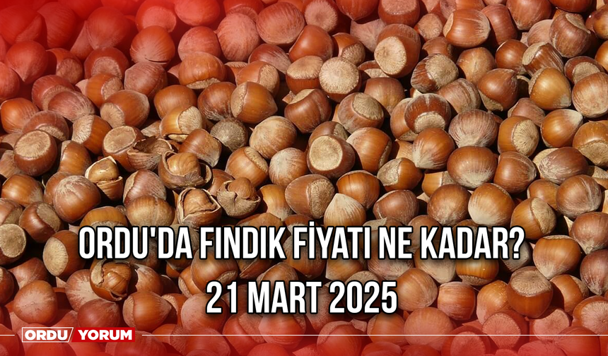 Ordu'da güncel fındık fiyatı ne kadar? 21 Ağustos 2025
