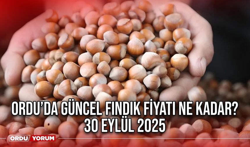 Ordu’da güncel fındık fiyatı ne kadar? 30 Eylül 2025