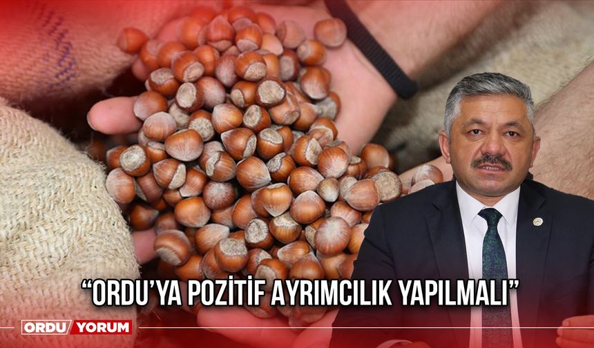 “Ordu’ya Pozitif Ayrımcılık Yapılmalı”
