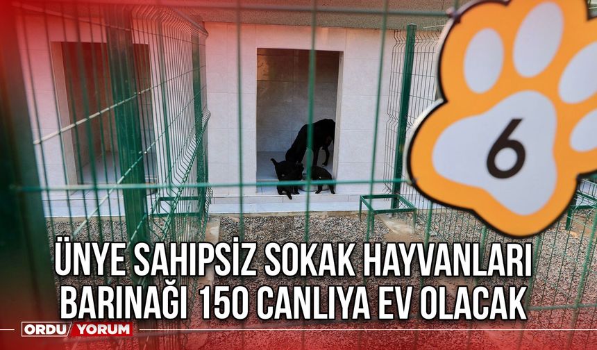 Ünye Sahipsiz Sokak Hayvanları Barınağı 150 Canlıya Ev Olacak