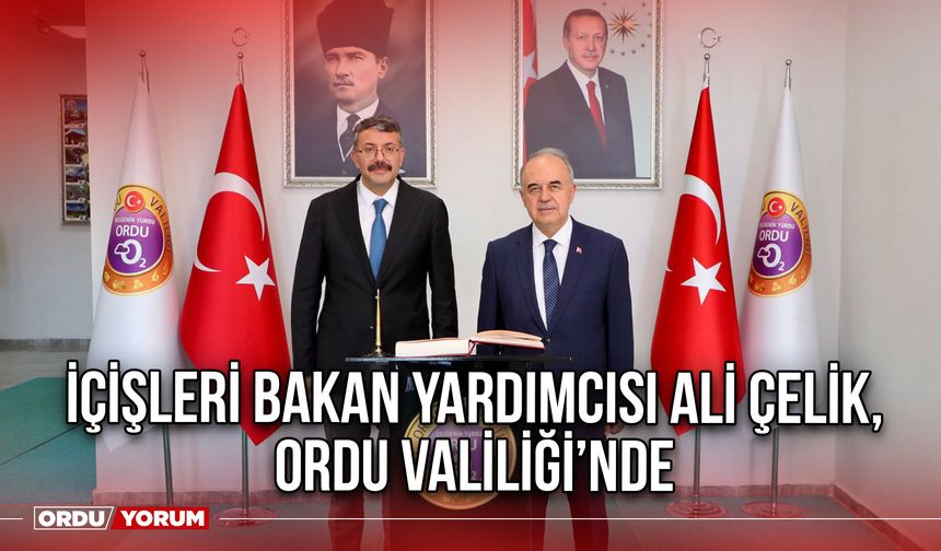 İçişleri Bakan Yardımcısı Ali Çelik, Ordu Valiliği’nde