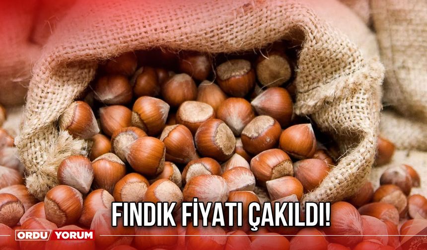 Fındık Fiyatı Çakıldı!