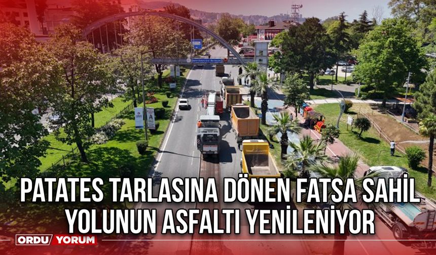 Patatesi Tarlasına Dönen Fatsa Sahil Yolunun Asfaltı Yenileniyor