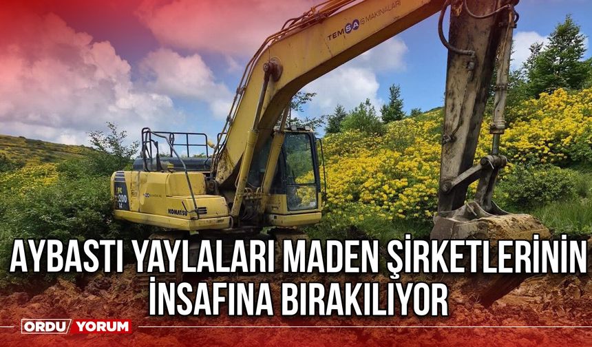 Aybastı Yaylaları Maden Şirketlerinin İnsafına Bırakılıyor