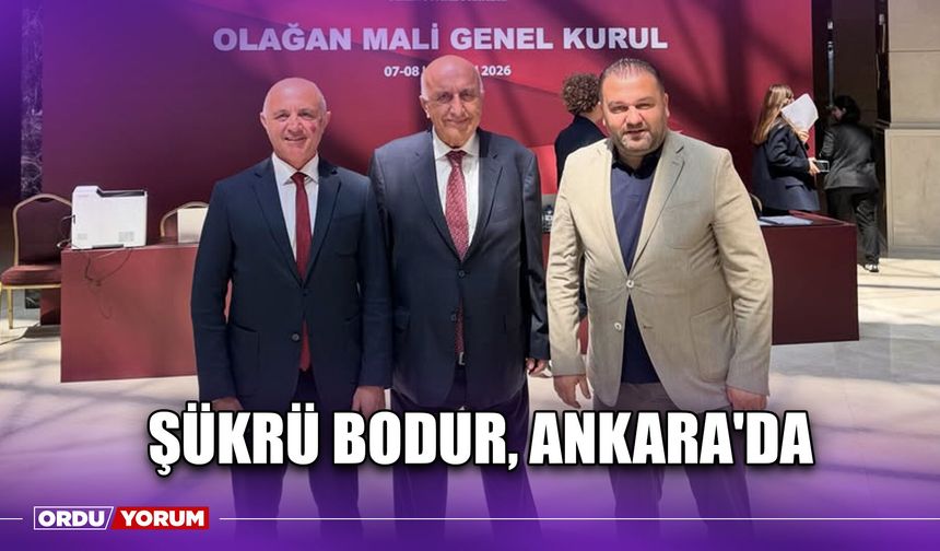 Şükrü Bodur, Ankara'da