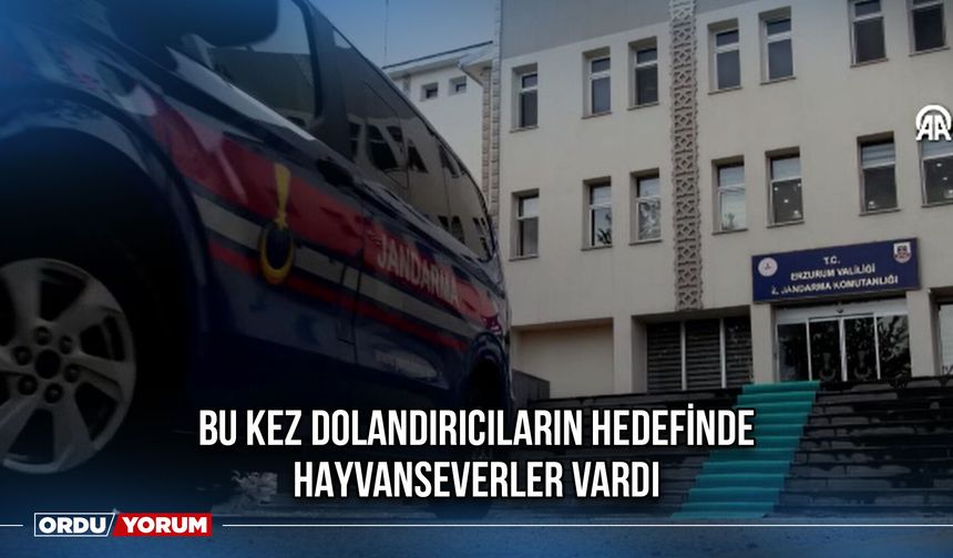 Bu Kez Dolandırıcıların Hedefinde Hayvanseverler Vardı