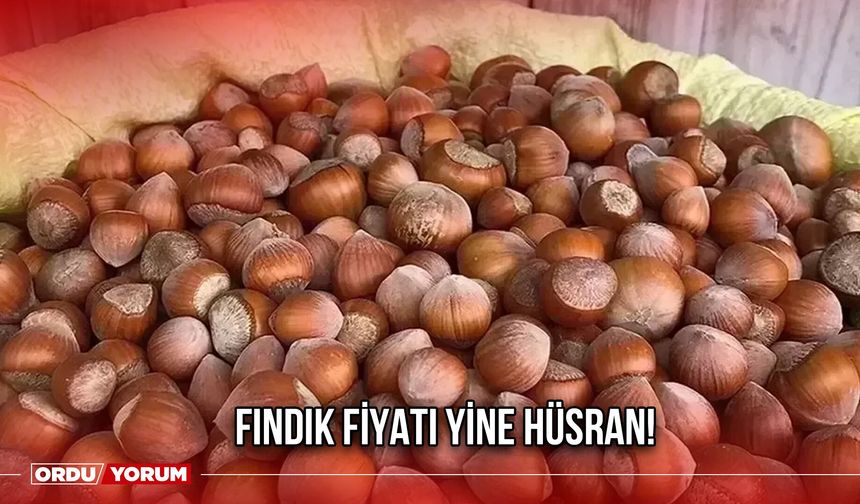 Fındık Fiyatı Yine Hüsran!