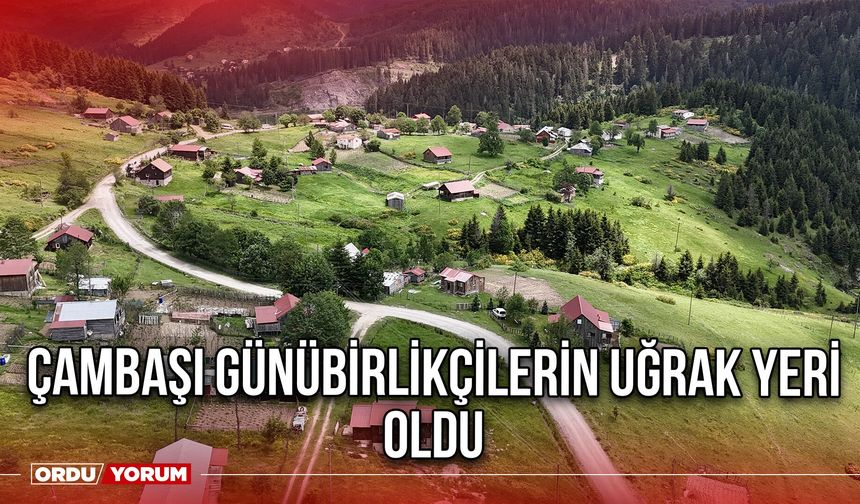 Çambaşı Günübirlikçilerin Uğrak Yeri Oldu
