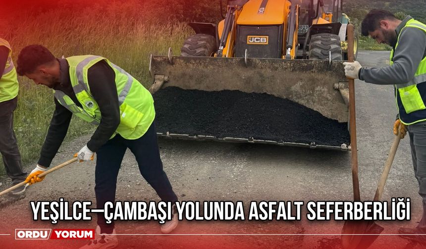 Yeşilce–Çambaşı Yolunda Asfalt Seferberliği Başladı