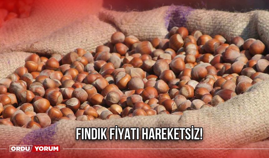 Fındık Fiyatı Hareketsiz!