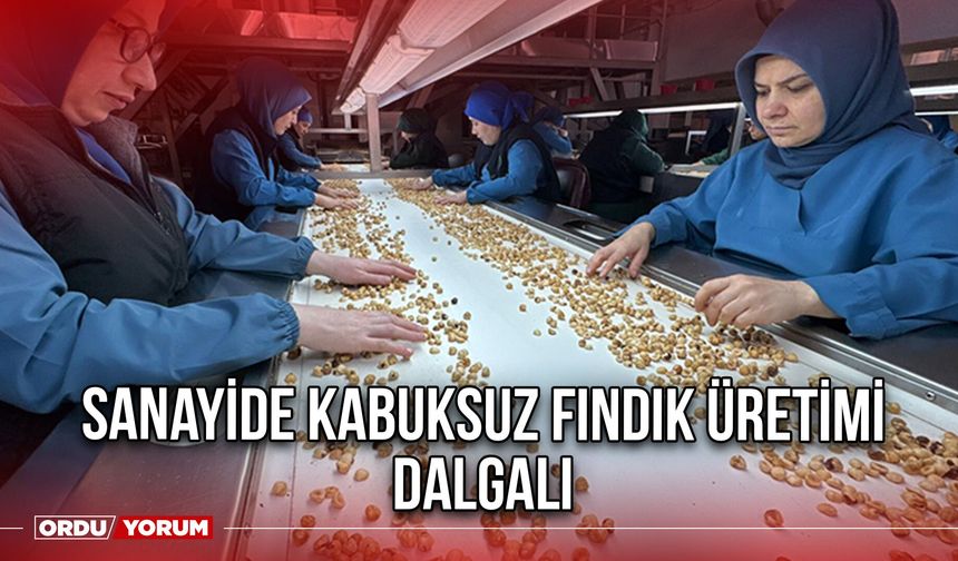 Sanayide Kabuksuz Fındık Üretimi Dalgalı