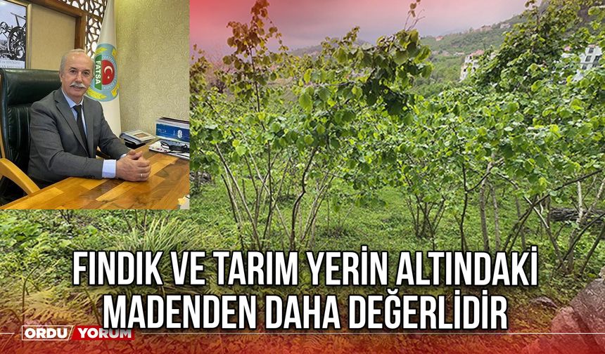 Fındık ve Tarım Yerin Altındaki Madenden Daha Değerlidir