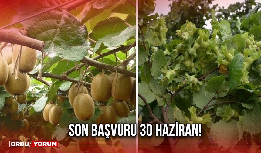 Son Başvuru 30 Haziran!