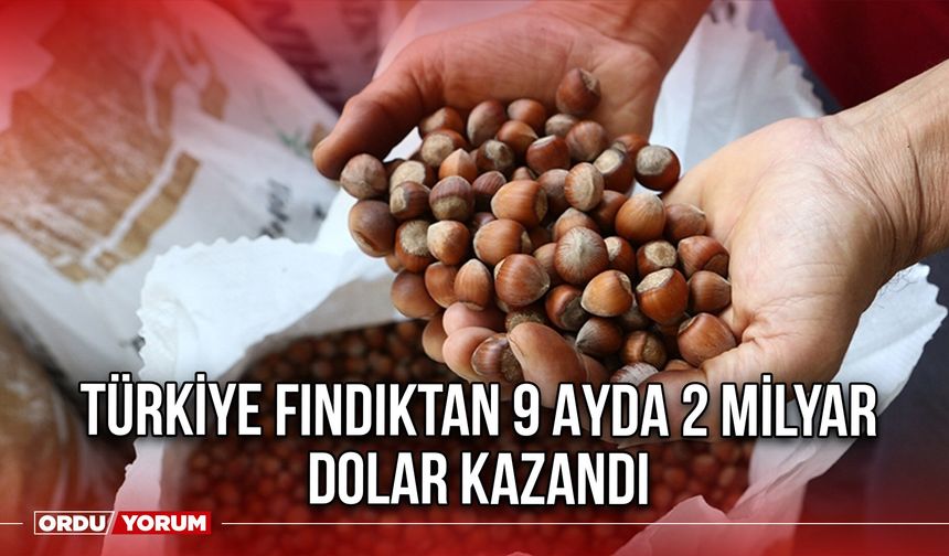 Türkiye Fındıktan 9 Ayda 2 Milyar Dolar Kazandı
