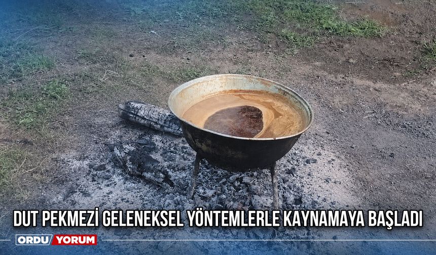 Dut Pekmezi Geleneksel Yöntemlerle Kaynamaya Başladı