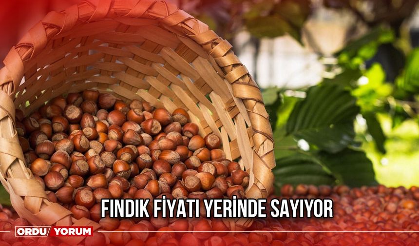Fındık Fiyatı Yerinde Sayıyor