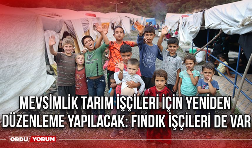 Mevsimlik Tarım İşçileri İçin Yeniden Düzenleme Yapılacak: Fındık İşçileri de Var