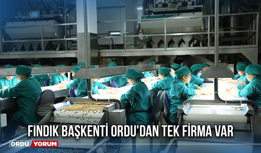 Fındık Başkenti Ordu'dan Tek Firma Var