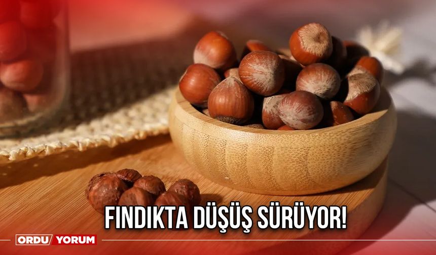 Fındıkta Düşüş Sürüyor!