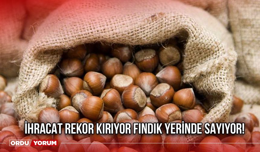 İhracat Rekor Kırıyor Fındık Yerinde Sayıyor!
