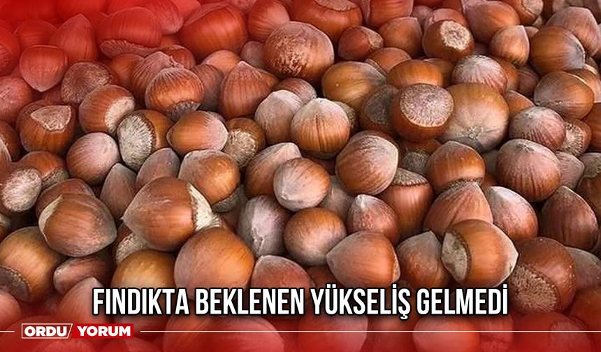 Fındıkta Beklenen Yükseliş Gelmedi