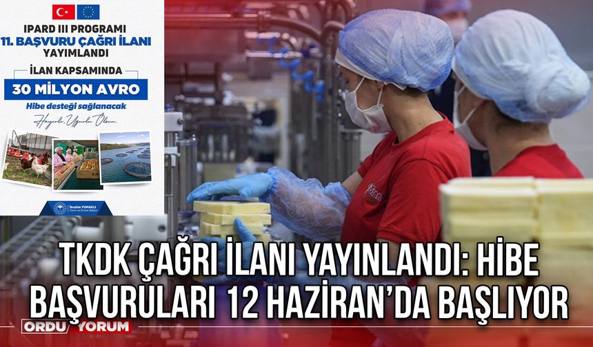 TKDK Çağrı İlanı Yayınlandı: Hibe Başvuruları 12 Haziran’da Başlıyor