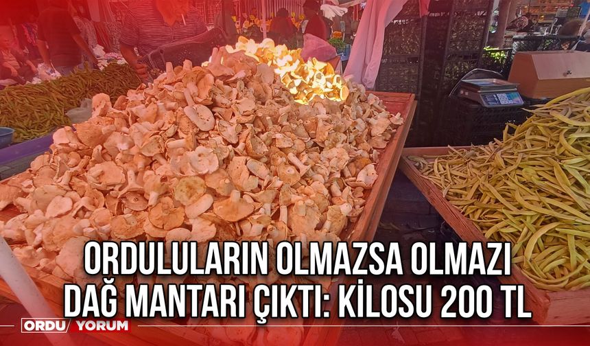Orduluların Olmazsa Olmazı Dağ Mantarı Çıktı: Kilosu 200 TL