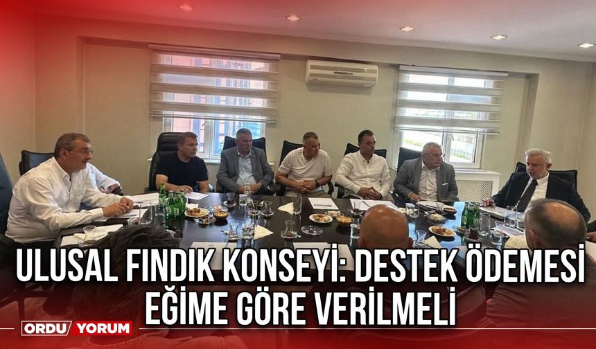 Ulusal Fındık Konseyi: Destek Ödemesi Eğime Göre Verilmeli